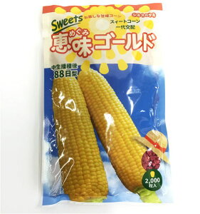 �w �b���S�[���h �x �g�E�����R�V ��q �X�C�[�g�R�[�� �Ƃ����낱��