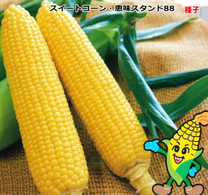 �w �b���X�^���h 88 �x �g�E�����R�V ��q 2000�� �X�C�[�g�R�[�� �Ƃ����낱��