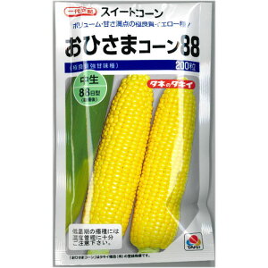 �w ���Ђ��� �R�[�� 88 �x �g�E�����R�V ��q �X�C�[�g�R�[�� �Ƃ����낱��