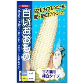 楽天市場 白い とうもろこし 種の通販