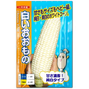 �w ������������ �x �g�E�����R�V ��q �X�C�[�g�R�[�� �Ƃ����낱��