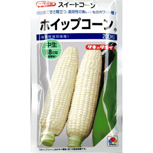 �w �z�C�b�v�R�[�� �x �g�E�����R�V ��q �X�C�[�g�R�[�� �ɗǎ����Ö��� �Ƃ����낱��