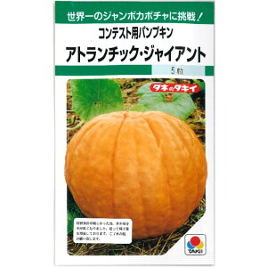 ReXgWpJ{` w Ag`bN WCAg x ڂ q Z