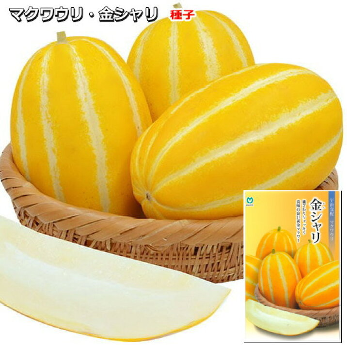 79 以上節約 種 野菜たね マクワウリ 金俵まくわうり 1袋 1ml Aknewsasia Com 79 以上節約 種 野菜たね マクワウリ 金俵まくわうり 1袋 1ml Aknewsasia Com