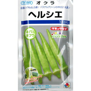 �w �w���V�G �x �I�N�� ��q