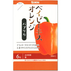 種 パプリカの人気商品 通販 価格比較 価格 Com 種 パプリカの人気商品 通販 価格比較 価格 Com
