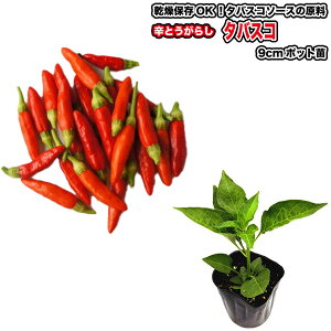 hƂ炵y ^oXR z9cm|bgc^gEKV