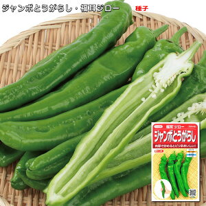 �w �����W���[ �x �s���h �W�����{ �Ƃ����炵 ��q 0.5ml �g�E�K���V