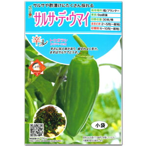 w TTEfEE}C x h Ƃ炵 q 20 gEKV ny[j^Cv hRV[Y