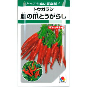 w ̒ ̂ x h Ƃ炵 q 360 gEKV