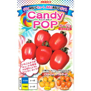 �w CandyPop ���[�W�� �x �~�j�g�}�g ��q 7�� �Ƃ܂�