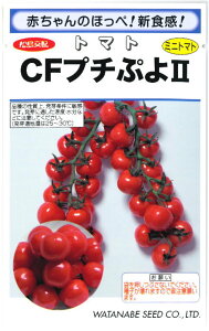 �w CF �v�`�Ղ� �x �~�j�g�}�g ��q �Ƃ܂�