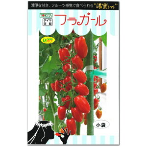 �w �Z���g�}�g �t���K�[�� �x �~�j�g�}�g ��q �Ƃ܂�