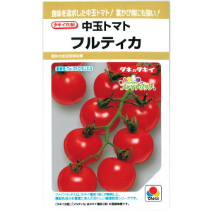 w teBJ x  g}g q Ƃ܂