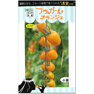 �w �Z���g�}�g �I�����W�F �x �~�j�g�}�g ��q 8�� �Ƃ܂�