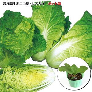 ~j؁y ^TC z9cm|bgc^nNTC