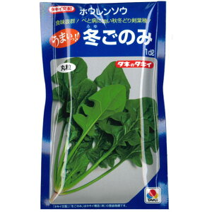 zE\Ey ~̂ zq 45ml`1dl^ق