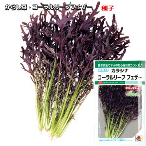 w R[[t tFU[ x 炵 q 6ml