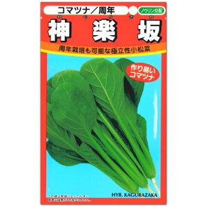 ؁y _y zq 10ml^炴