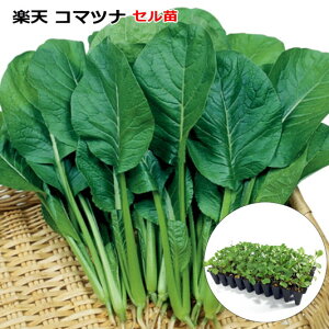 yV ؁@45i50jZc @R}ci