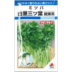 みつば【 白茎三ツ葉(関東系)】種子 4ml