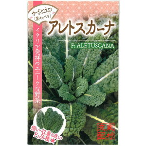 J[{ly AgXJ[i zq120^Lxc