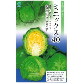 楽天市場 ミニキャベツ 種 花 ガーデン Diy の通販