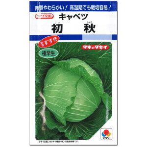 Lxcy H 債イ zq 1.8mlE150