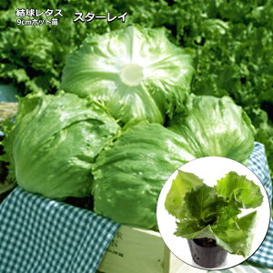 w X^[C x ^Xc 9cm|bg ^X