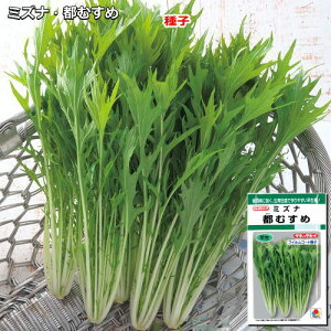 ~Yiy sނ ztBR[gq 4ml