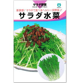 ミズナ 種子 サラダ水菜 6ml 水菜