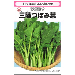 �w �O���ڂݍ� �x �Ȃ΂� ��q �؉�