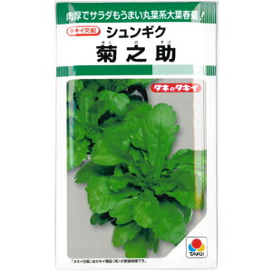 �w �e�V�� �x �V�����M�N ��q �t�e 22ml