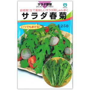 �w �T���_ �t�e �x �V�����M�N ��q 27ml