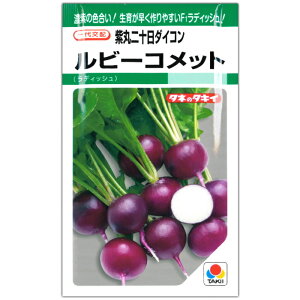 ��\���卪�y ���r�[�R���b�g �z��q 310���^���f�B�b�V��