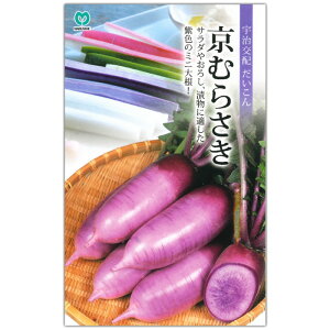 y ނ炳 zq 1.5ml^卪