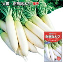だいこん 種子 耐病総太り 略称：さい 8ml～35ml　大根