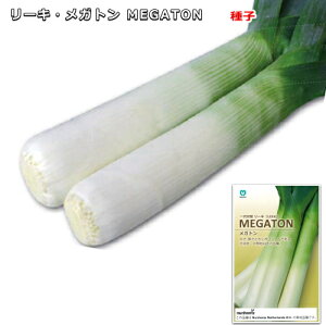 ���[�L�y MEGATON �z��q 50���^���K�g���^���m�˂�