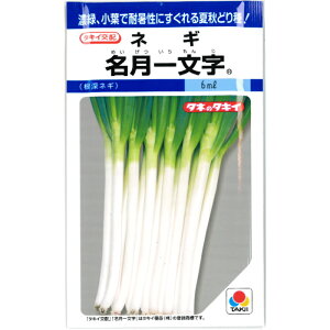 [lMy ꕶ zq 6ml^˂
