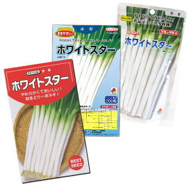 ネギ 種子 ホワイトスター　根深ねぎ