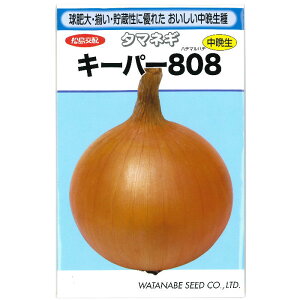 ^}lMy L[p[808 zq^Ӑ^ʂ˂