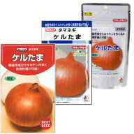 タマネギ【 ケルたま 】種子 4.5ml～2dl／晩生種玉ねぎ