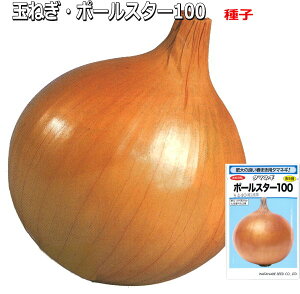 �^�}�l�M�E�|�[���X�^�[ ��q 2.4ml �ʂ˂�