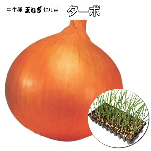  w ^[{ x ܂˂ 90{i100) Zc