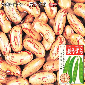 種 つるなし インゲン 種の人気商品 通販 価格比較 価格 Com