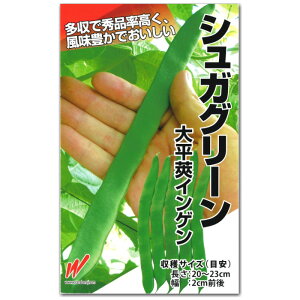 �邠��C���Q���y �V���K�O���[�� �z��q 20ml�`1dl