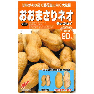 種 おおまさりネオ」の人気商品一覧 | 安い商品を通販サイトから探す 