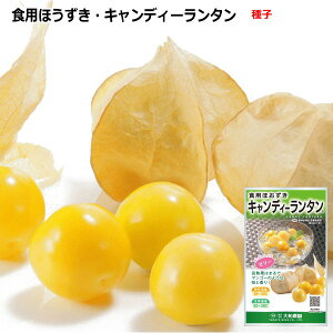 �H�p�ق����� �L�����f�B�[�����^�� ��q 14��