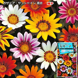 KUjA q@TVC @0.2mlic\{F悻10{)