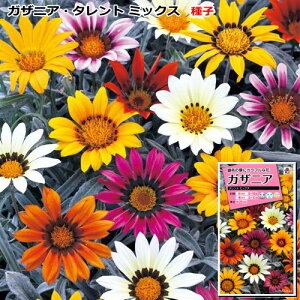 KUjA q@^g ~bNX@0.2mlic\{F悻10{)